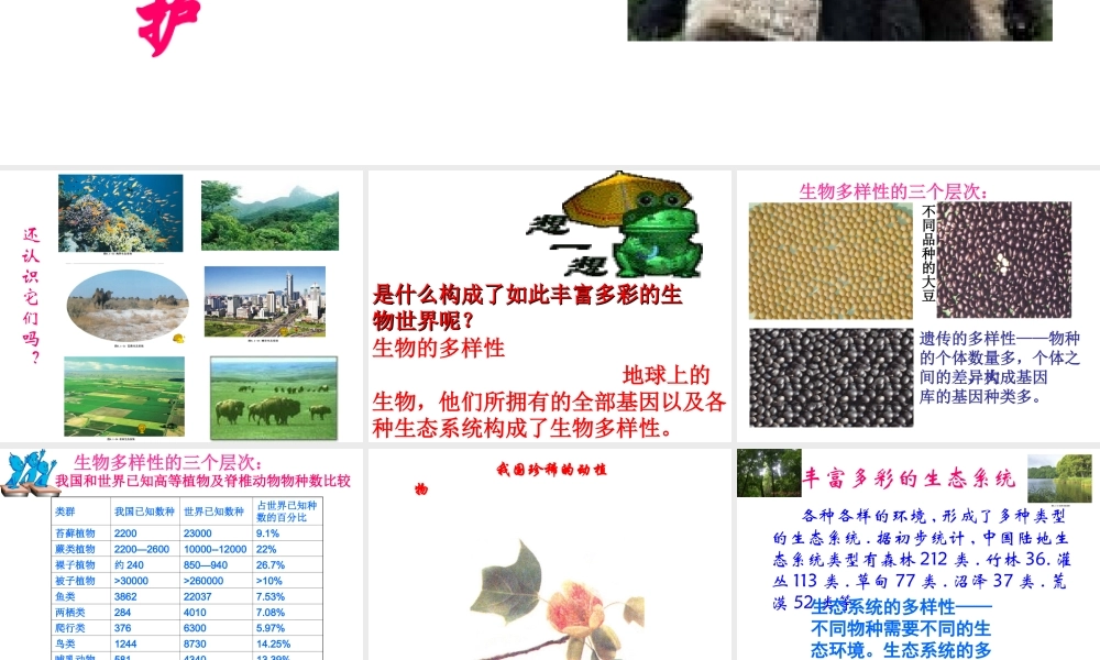 八年级生物下：第六单元第二章生物多样性及保护复习课件济南版 课件