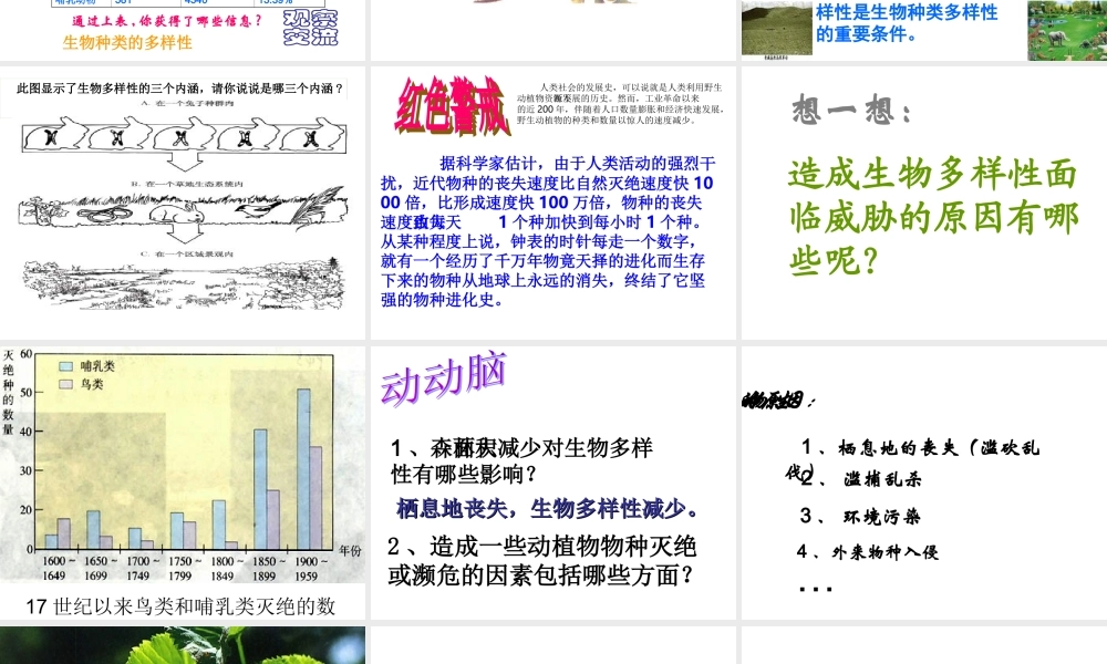 八年级生物下：第六单元第二章生物多样性及保护复习课件济南版 课件