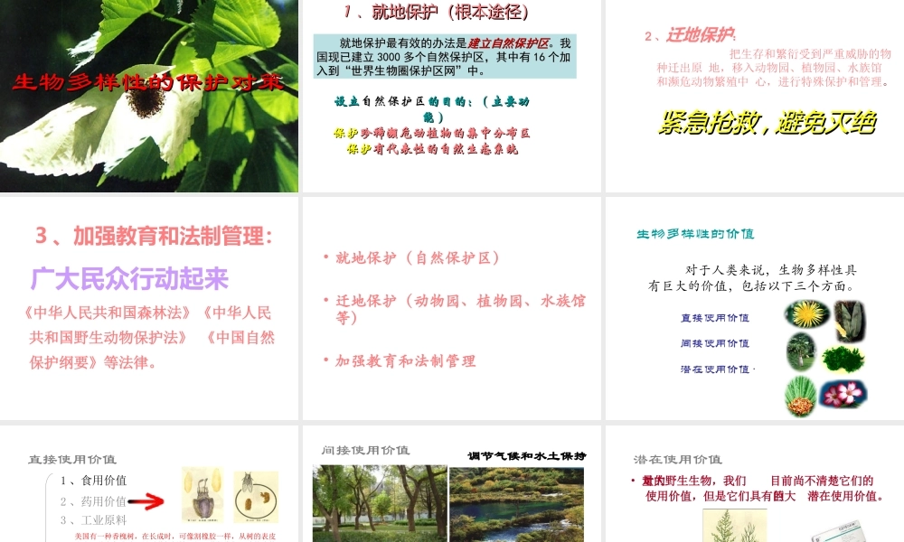 八年级生物下：第六单元第二章生物多样性及保护复习课件济南版 课件