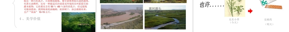 八年级生物下：第六单元第二章生物多样性及保护复习课件济南版 课件