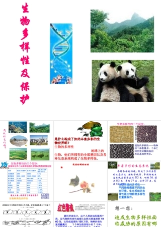 八年级生物下：第六单元第二章生物多样性及保护复习课件济南版 课件
