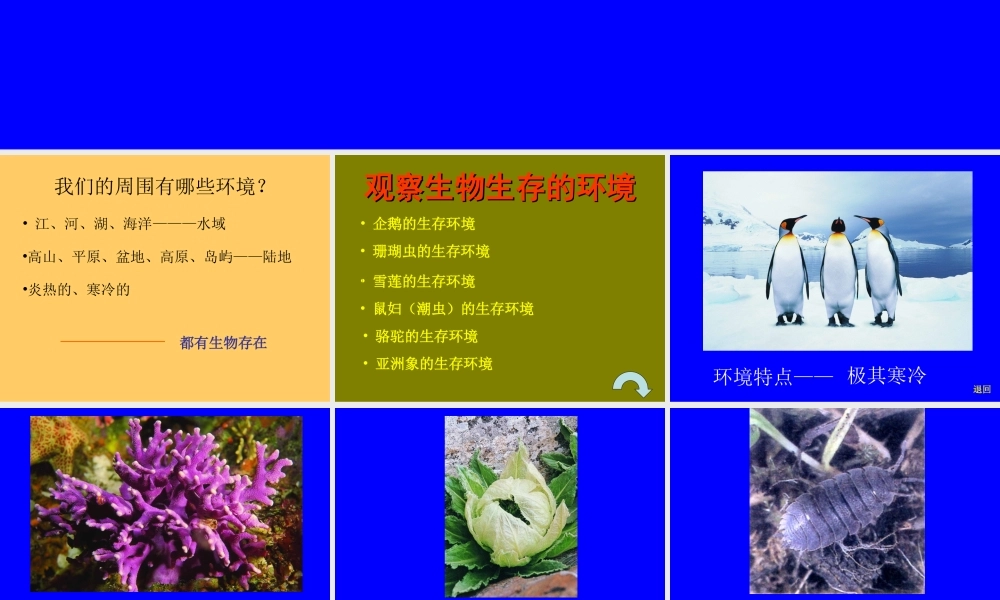 七年级生物第一章生物生存的环境课件苏科版 课件