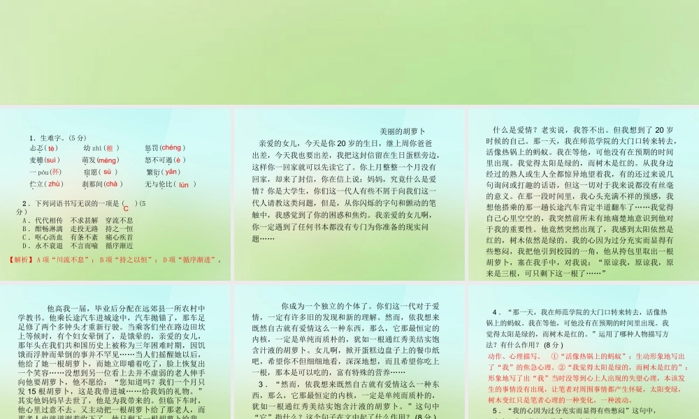 九年级语文上册 第二单元 8致女儿的信习题课件 新人教版 课件