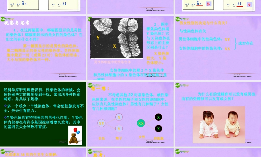 八年级生物下册 第四节人的性别遗传课件 人教新课标版 课件