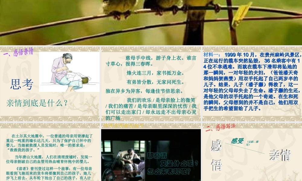 “感悟亲情”作文课