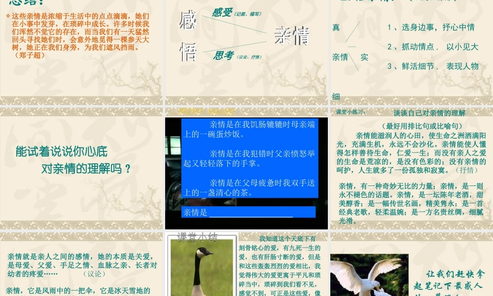 “感悟亲情”作文课