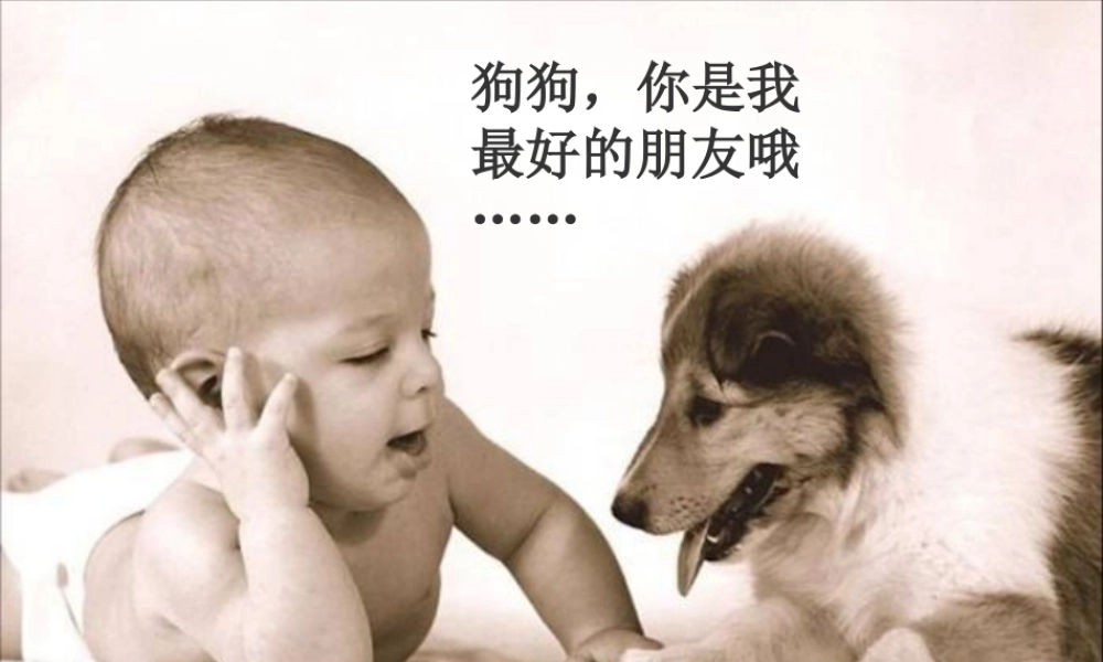 七年级语文上册(安恩与奶牛)教学课件 苏教版 课件
