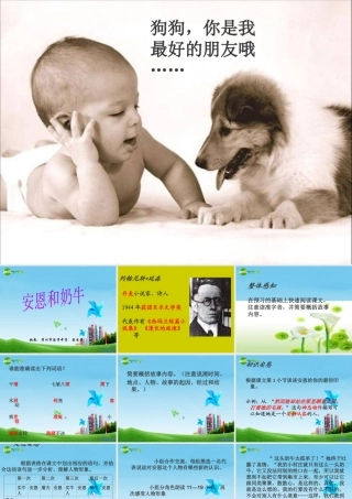 七年级语文上册(安恩与奶牛)教学课件 苏教版 课件