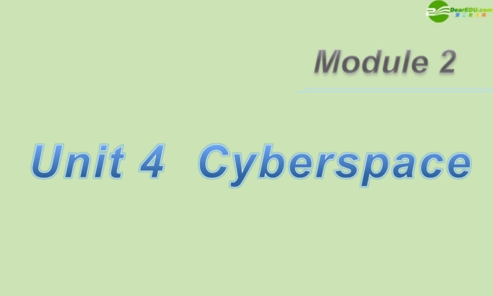 广东省高三英语第一轮总复习 Module2 Unit4 Cyberspace(2)课件 北师大版 新课标 课件