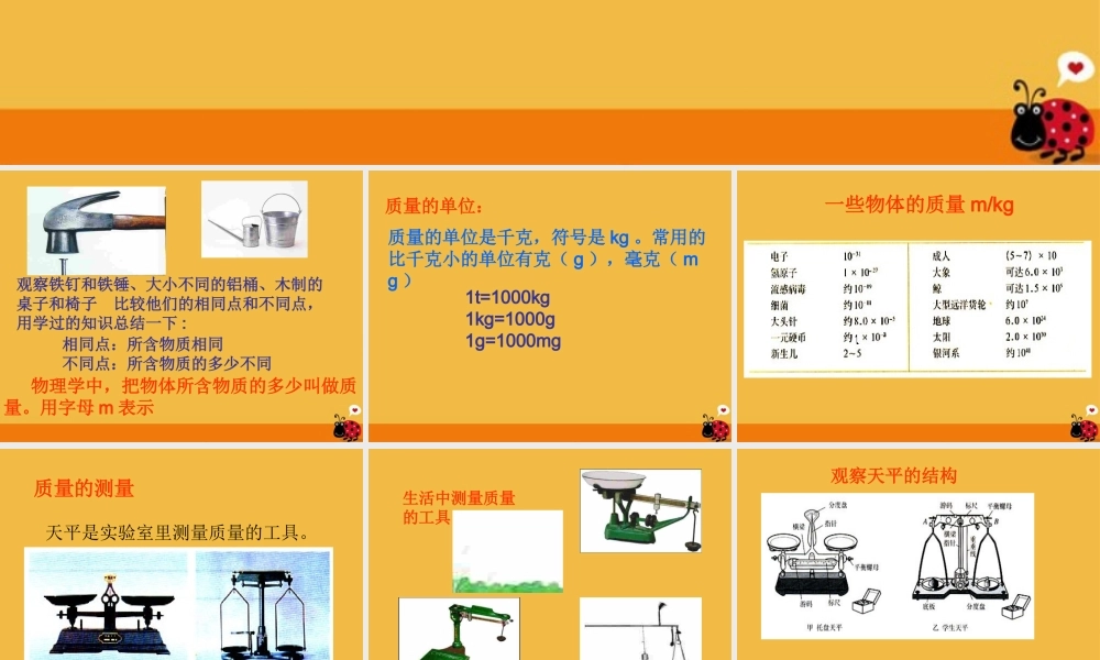 九年级物理 第十一章多彩的物质世界第二节质量与密度课件 人教新课标版 课件