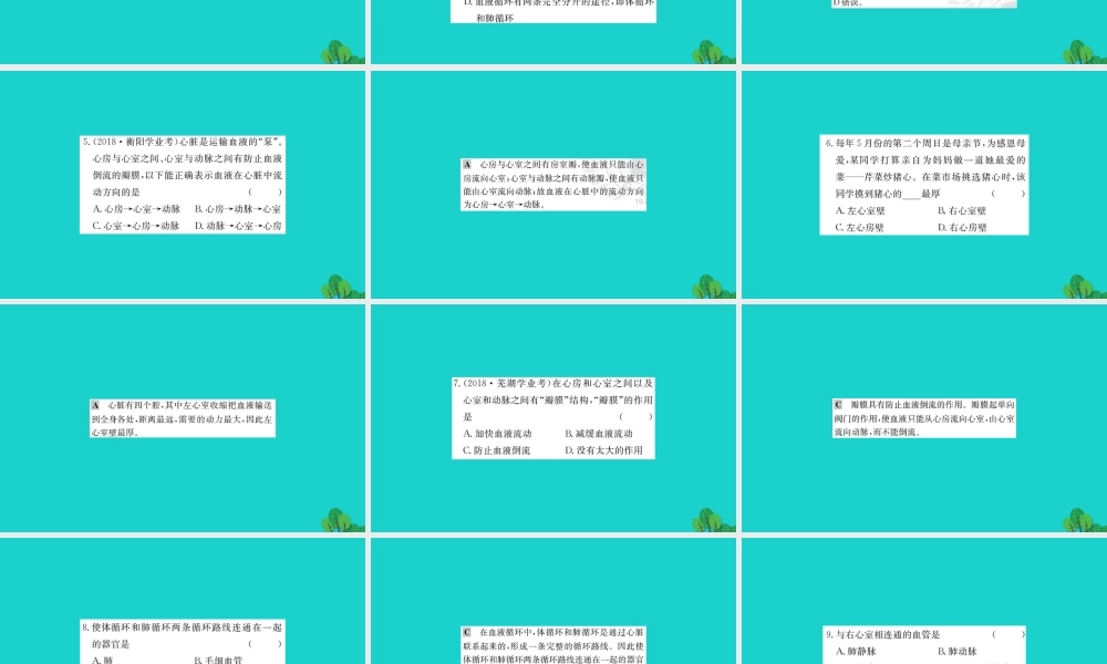 七年级生物下册 4.4.3 输送血液的泵 心脏习题课件(新版)新人教版 课件