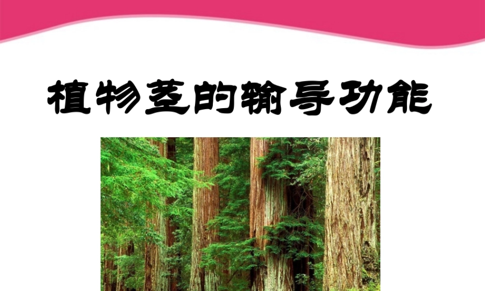 七年级生物上册 5.4植物茎的输导功能课件 苏教版 课件