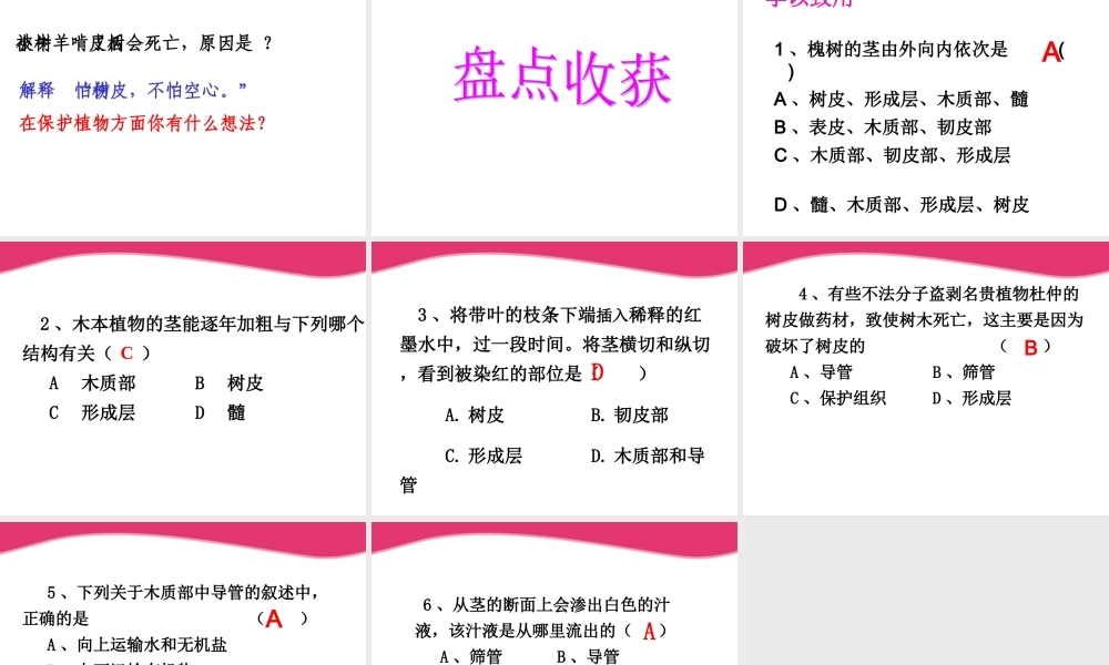 七年级生物上册 5.4植物茎的输导功能课件 苏教版 课件
