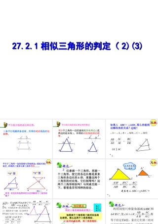 相似三角形的判定(2)(3)