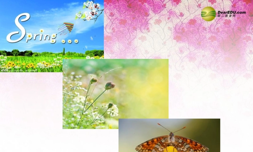 八年级英语下册 Unit 8 Save Our World lesson 47 Connected to Nature课件 (新版)冀教版 课件