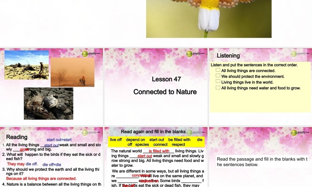 八年级英语下册 Unit 8 Save Our World lesson 47 Connected to Nature课件 (新版)冀教版 课件