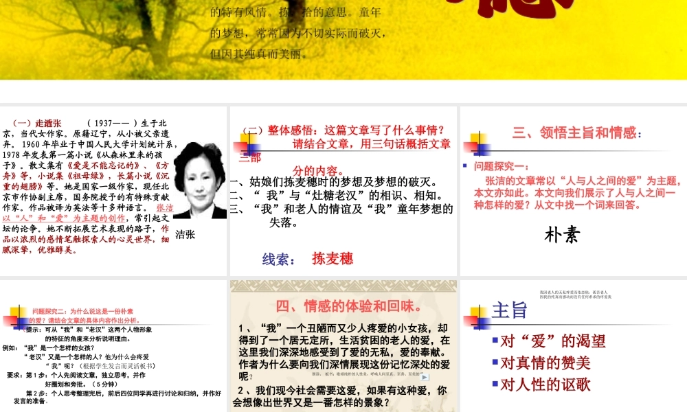 拣麦穗 新课标 人教版 课件