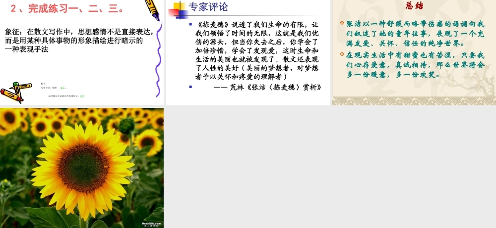 拣麦穗 新课标 人教版 课件