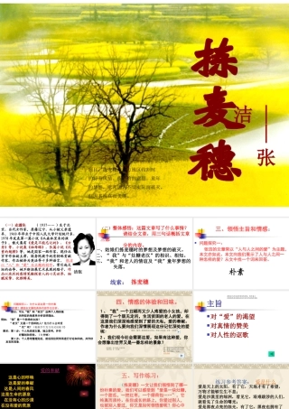拣麦穗 新课标 人教版 课件