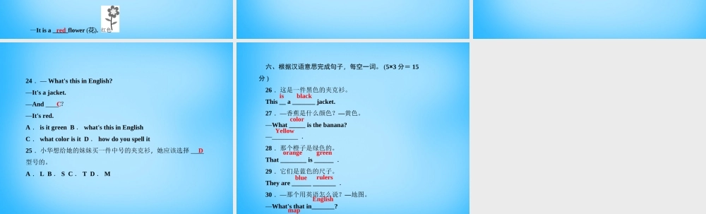 七年级英语上册 Starter Unit 3 What color is it(第一课时)1a 2e课件 (新版)人教新目标版 课件