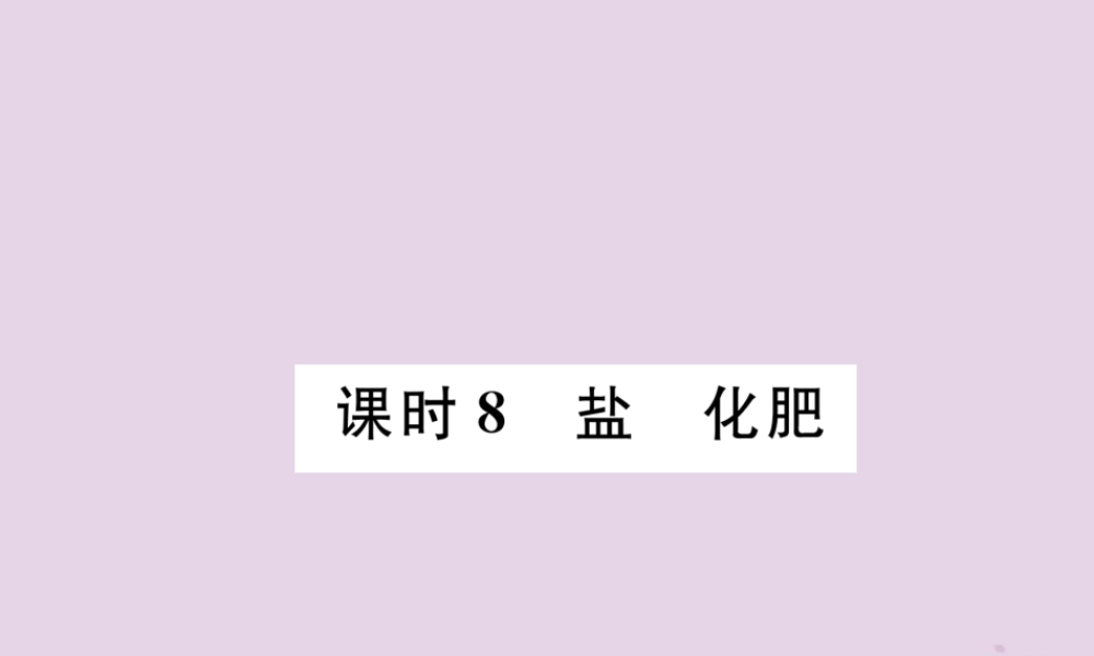 中考化学总复习 第1编 主题复习 模块1 身边的化学物质 课时8 盐 化肥(精讲)课件