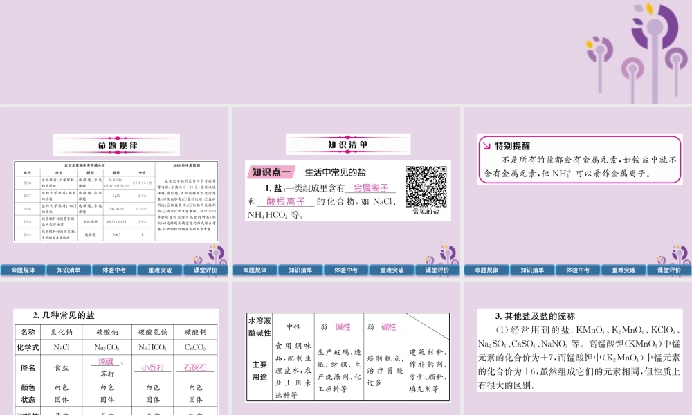 中考化学总复习 第1编 主题复习 模块1 身边的化学物质 课时8 盐 化肥(精讲)课件