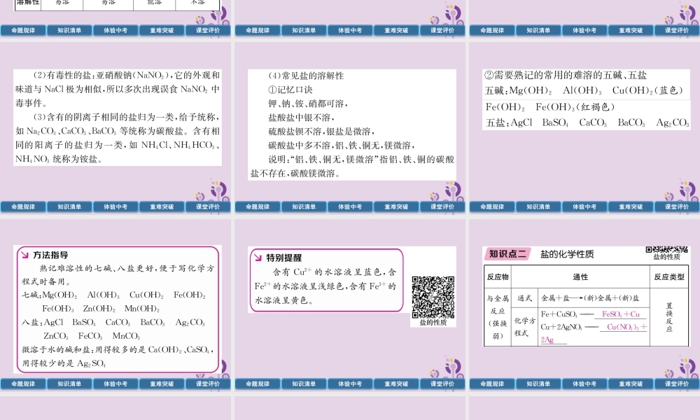 中考化学总复习 第1编 主题复习 模块1 身边的化学物质 课时8 盐 化肥(精讲)课件