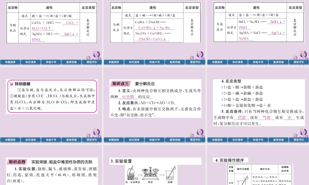 中考化学总复习 第1编 主题复习 模块1 身边的化学物质 课时8 盐 化肥(精讲)课件