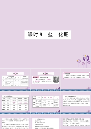 中考化学总复习 第1编 主题复习 模块1 身边的化学物质 课时8 盐 化肥(精讲)课件