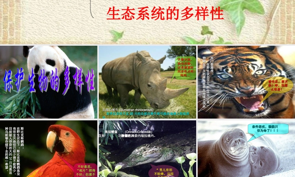 八年级生物上册 保护生物的多样性课件 人教新课标版 课件