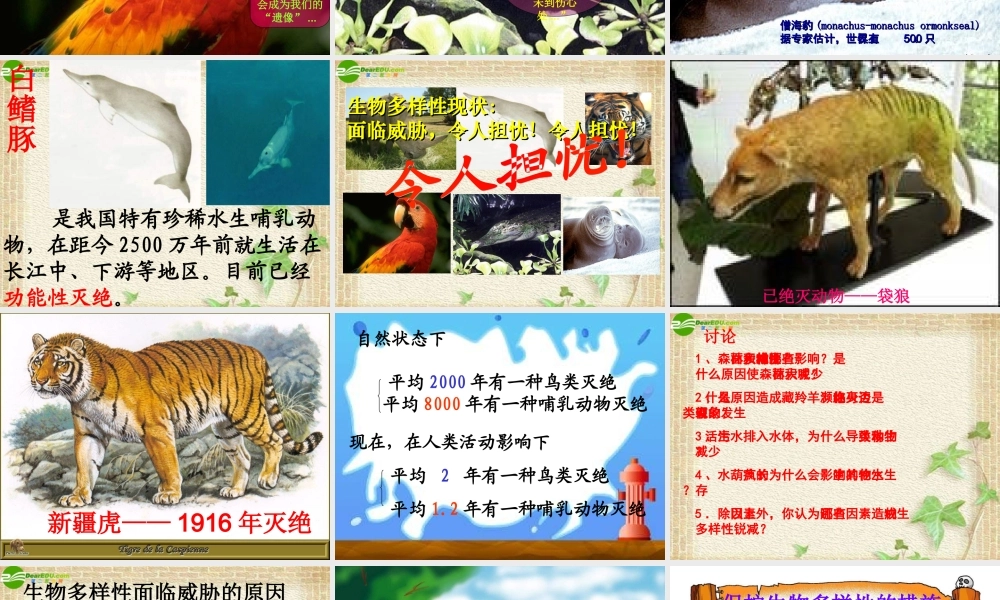 八年级生物上册 保护生物的多样性课件 人教新课标版 课件