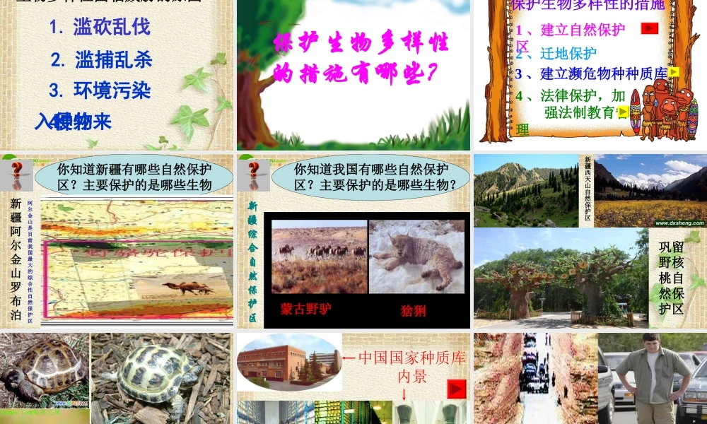 八年级生物上册 保护生物的多样性课件 人教新课标版 课件