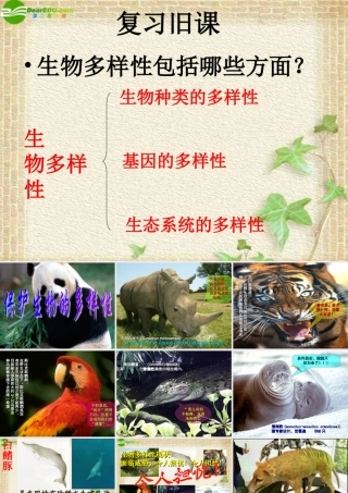 八年级生物上册 保护生物的多样性课件 人教新课标版 课件