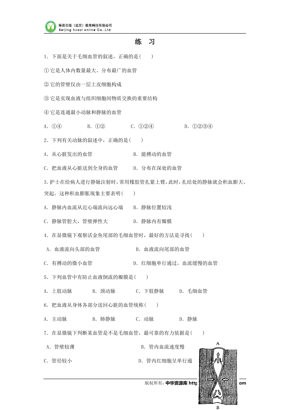 初中生物血管练-习_第1页