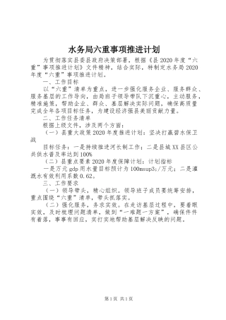 水务局六重事项推进计划