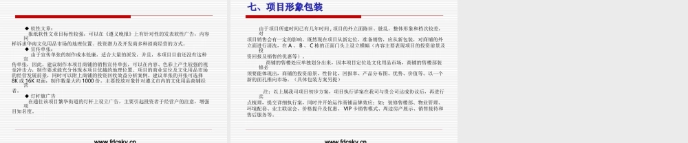 2007年遵义市沙河路商铺策划案