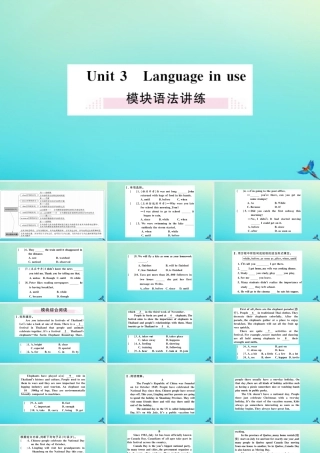 九年级英语上册 Module 2 Public holidays Unit 3 Language in use习题课件 (新版)外研版 课件