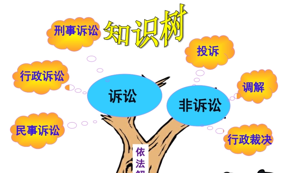 9.2寻求法律保护
