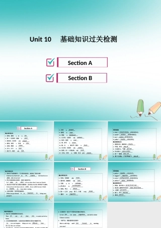 九年级英语全册 Unit 10 You re supposed to shake hands基础知识过关检测习题课件 (新版)人教新目标版 课件