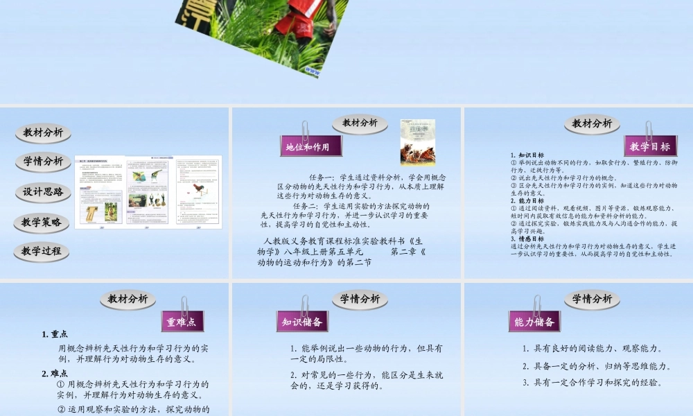 八年级生物上册 (先天性行为和学习行为)说课课件 人教新课标版 课件