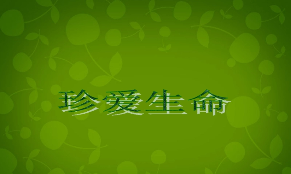 八年级政治上册 珍爱生命课件 北师大版 课件