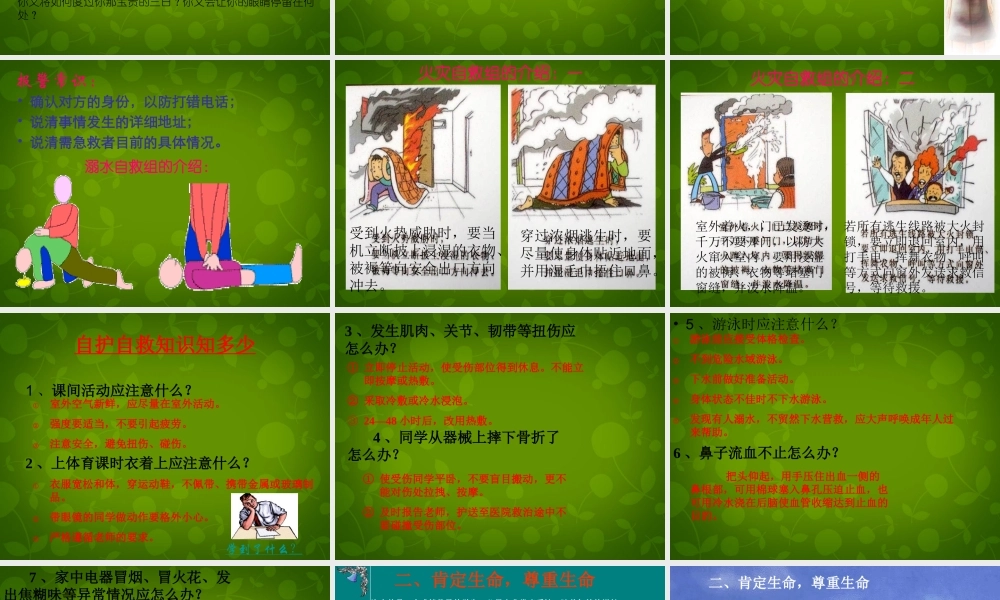 八年级政治上册 珍爱生命课件 北师大版 课件