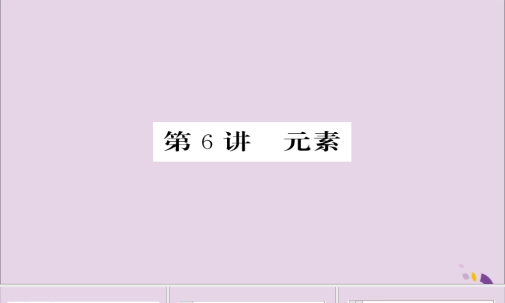 中考化学总复习 第一轮复习 系统梳理 夯基固本 第6讲 元素课件
