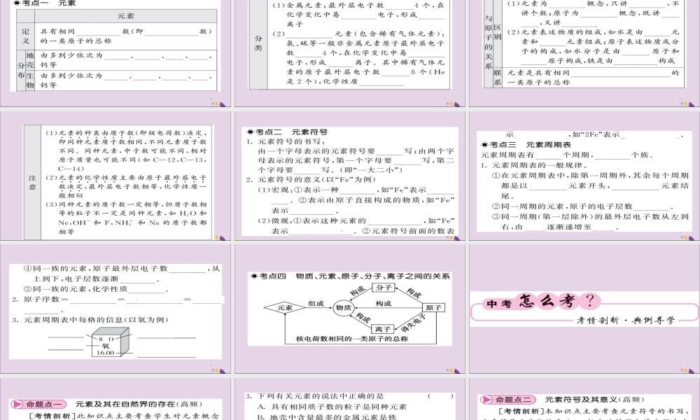 中考化学总复习 第一轮复习 系统梳理 夯基固本 第6讲 元素课件