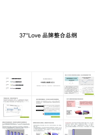 37°Love品牌整合总纲