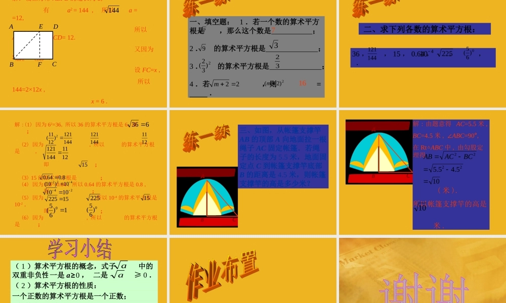 八年级数学上册 第二章第二节 平方根(一)课件 北师大版 课件