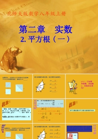 八年级数学上册 第二章第二节 平方根(一)课件 北师大版 课件