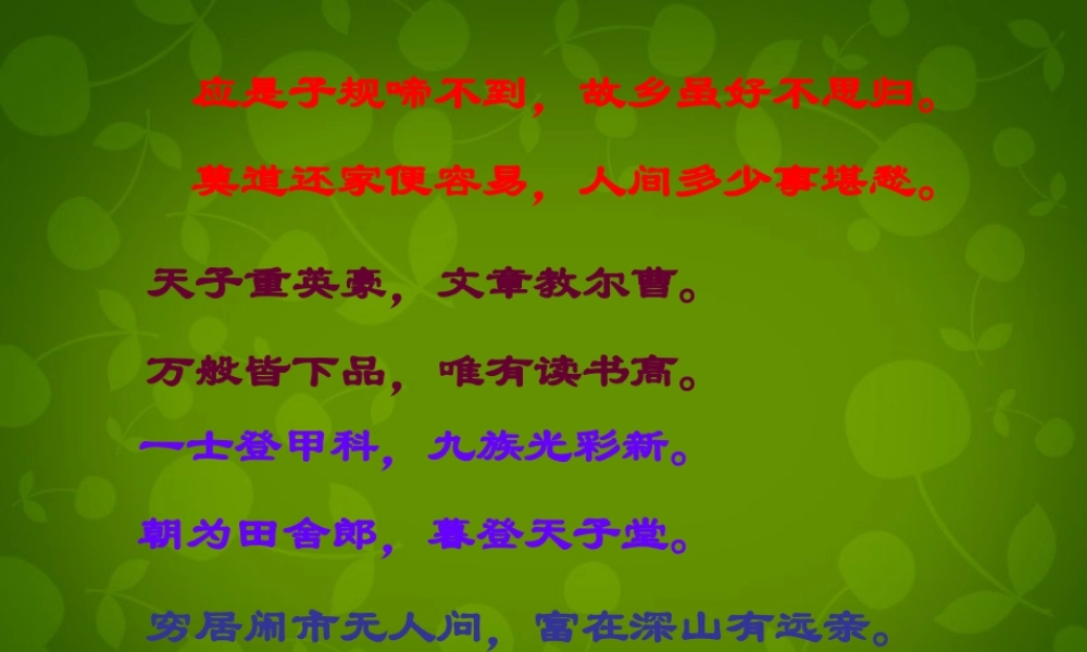 山东省无棣县第一实验学校九年级语文上册 19 范进中举课件 新人教版 课件