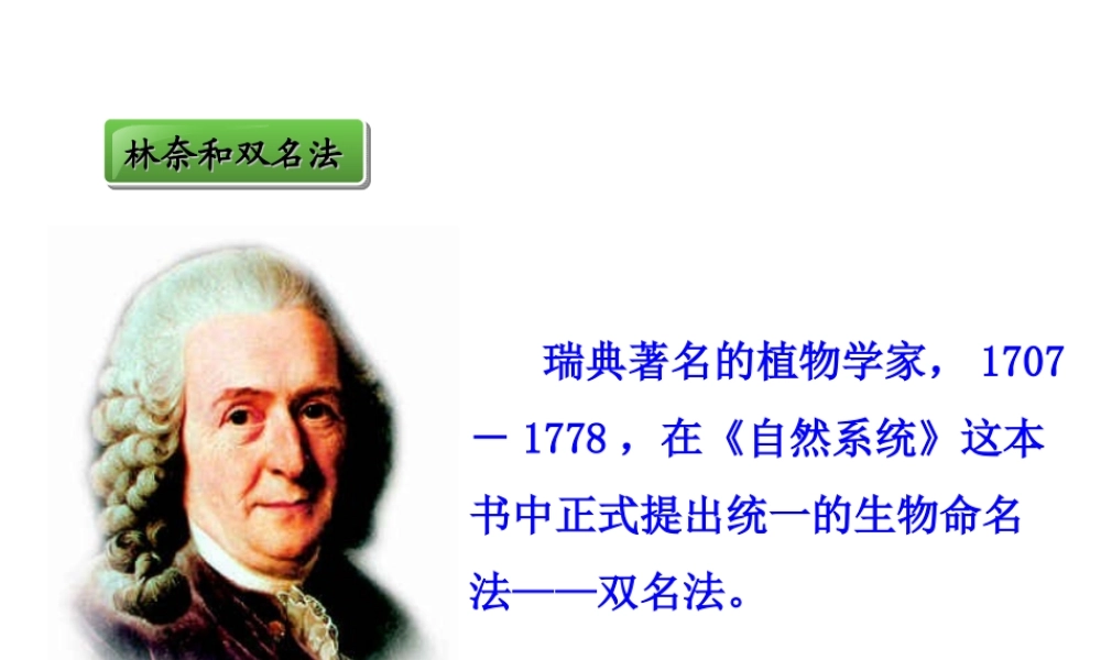 科学家的故事-林奈和双名法