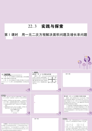 九年级数学上册 第22章 一元二次方程 223 实践与探索 第1课时 用一元二次方程解决面积问题及增长率问题习题课件 (新版)华东师大版 课件